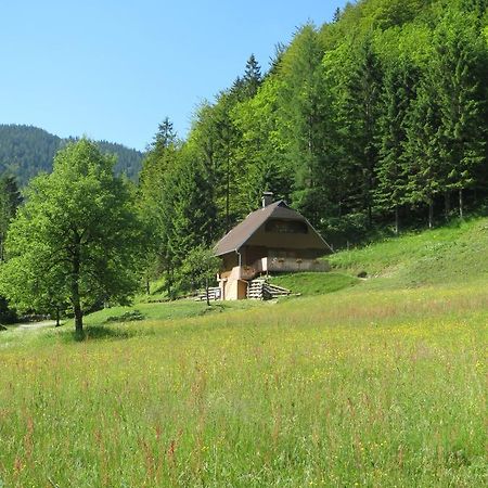 Apartmaji Brloznica Pod Veliko Planino Luče Zimmer foto