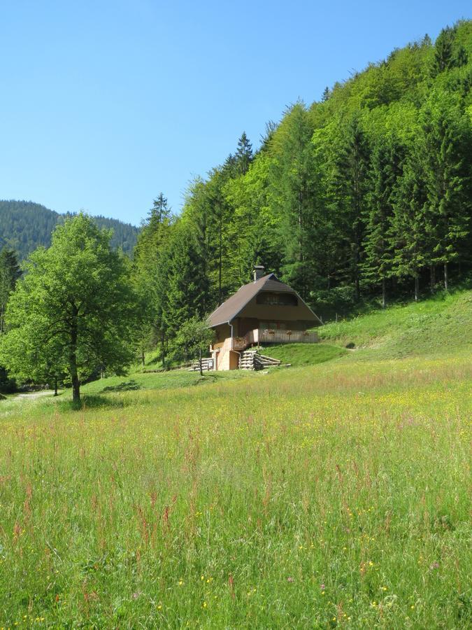 Apartmaji Brloznica Pod Veliko Planino Luče Zimmer foto